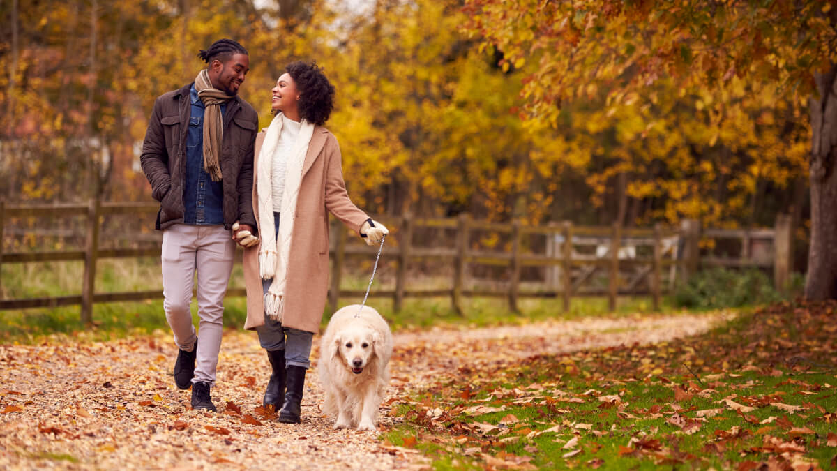 Couple walking a dog through autumn leaves