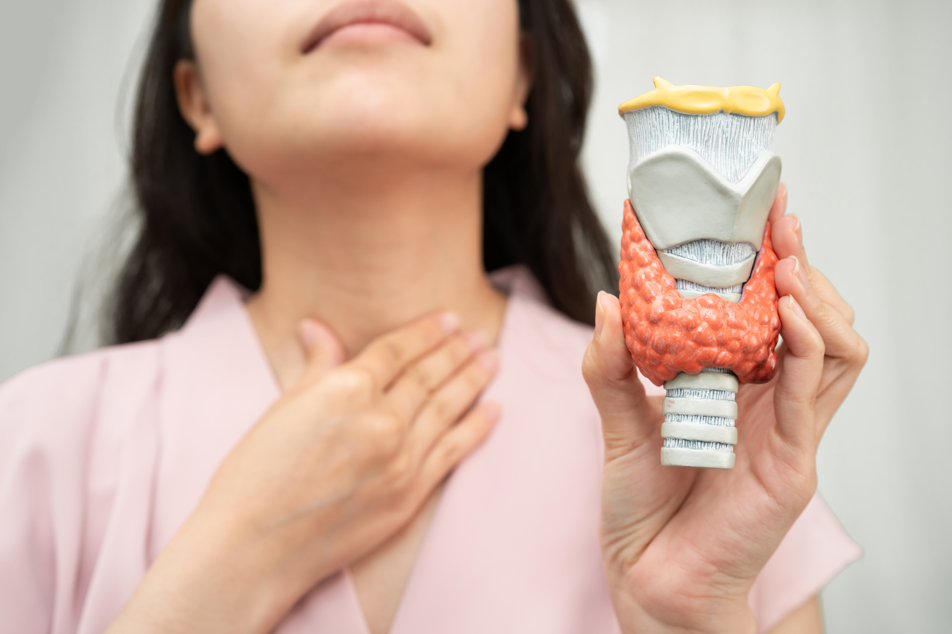 Woman holding anatomical model of thyroid gland while touching her neck
