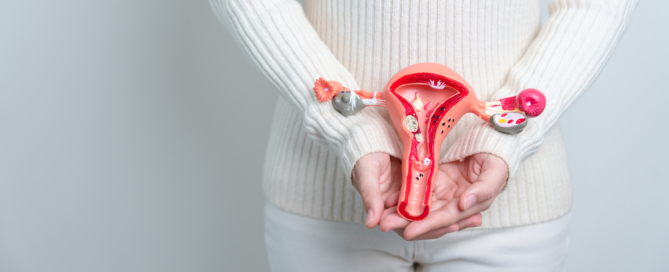 Woman in white sweater holding an anatomical model of the uterus and ovaries.